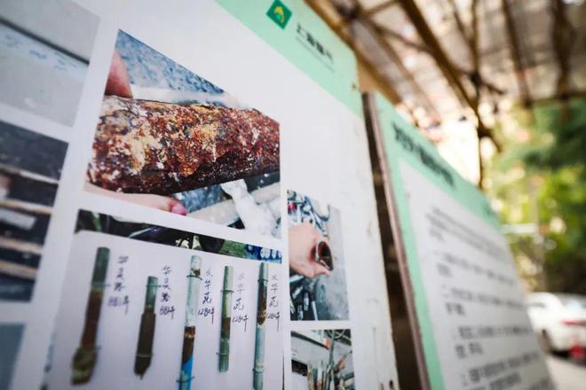 必赢bwin登录入口2024：这个小区“三驾马车”齐心协力助力七栋40年房龄高楼燃气管“上新”(图3)