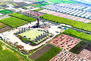 必赢bwin登录入口2024：河套平原行：见证绿色发展故事(图1)