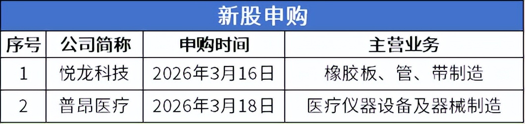 北交所上市公司数量突破300家!族兴新材上市首日涨超400%(图2)